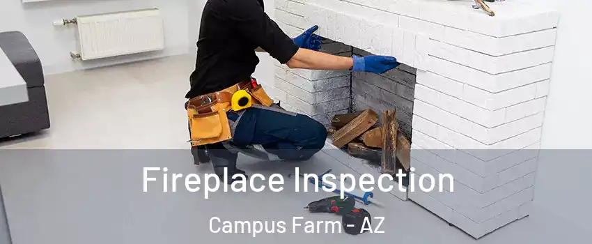 Fireplace Inspection Campus Farm - AZ