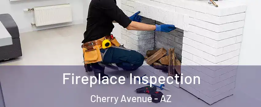 Fireplace Inspection Cherry Avenue - AZ