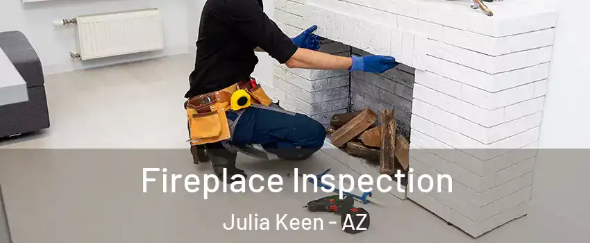 Fireplace Inspection Julia Keen - AZ
