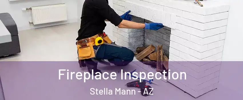 Fireplace Inspection Stella Mann - AZ
