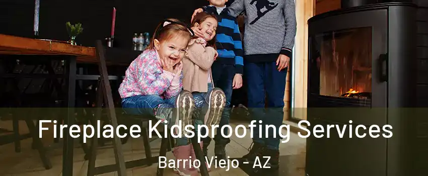 Fireplace Kidsproofing Services Barrio Viejo - AZ
