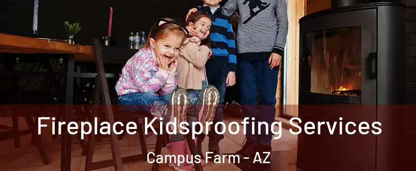 Fireplace Kidsproofing Services Campus Farm - AZ