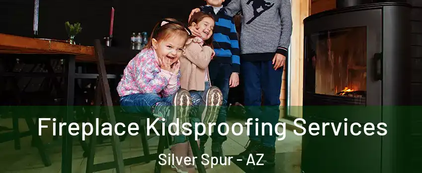 Fireplace Kidsproofing Services Silver Spur - AZ