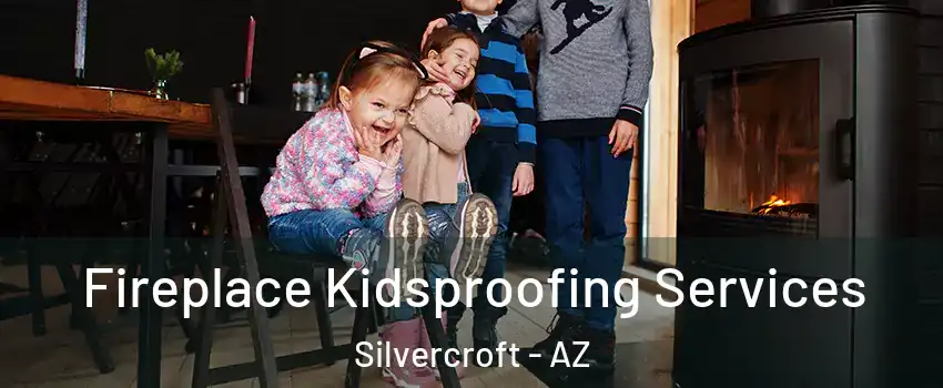 Fireplace Kidsproofing Services Silvercroft - AZ