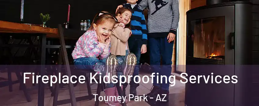 Fireplace Kidsproofing Services Toumey Park - AZ
