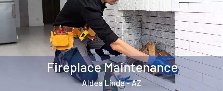 Fireplace Maintenance Aldea Linda - AZ