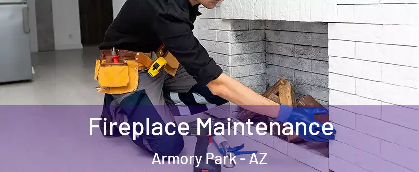 Fireplace Maintenance Armory Park - AZ