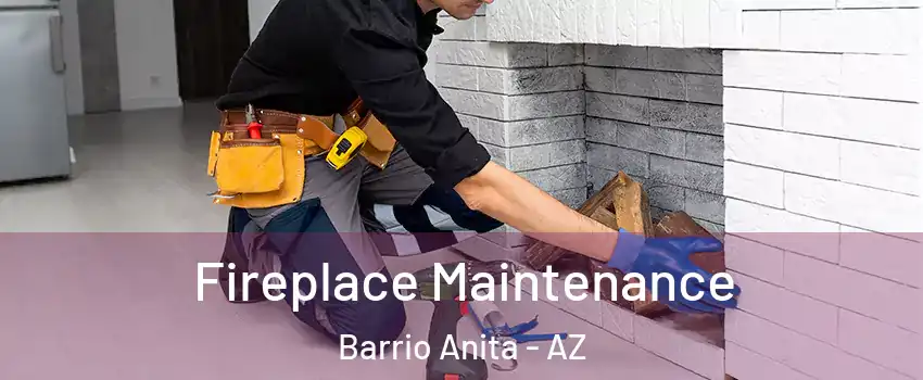 Fireplace Maintenance Barrio Anita - AZ