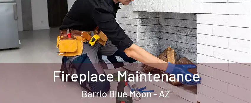 Fireplace Maintenance Barrio Blue Moon - AZ