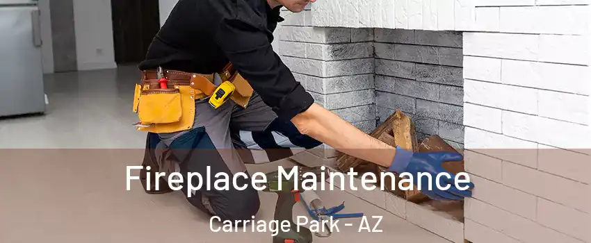 Fireplace Maintenance Carriage Park - AZ