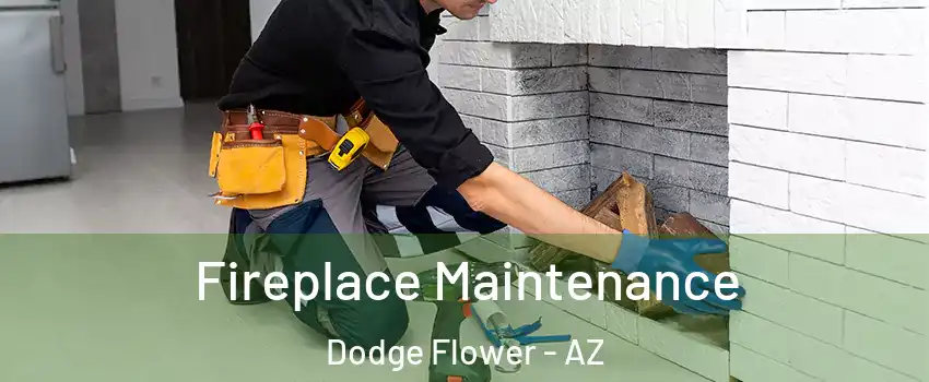 Fireplace Maintenance Dodge Flower - AZ