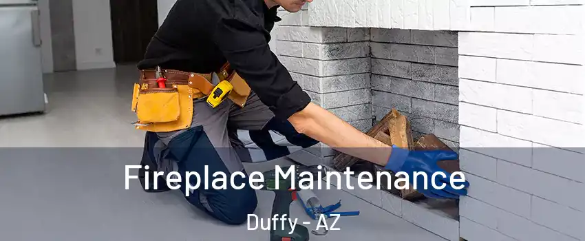 Fireplace Maintenance Duffy - AZ