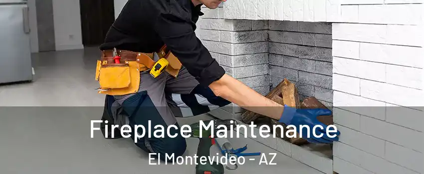 Fireplace Maintenance El Montevideo - AZ