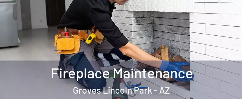 Fireplace Maintenance Groves Lincoln Park - AZ