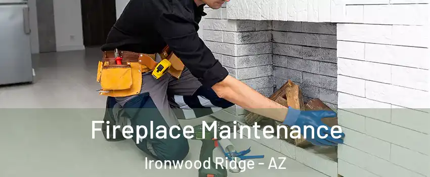 Fireplace Maintenance Ironwood Ridge - AZ