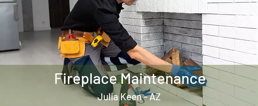 Fireplace Maintenance Julia Keen - AZ