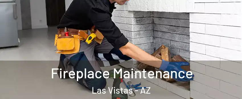 Fireplace Maintenance Las Vistas - AZ