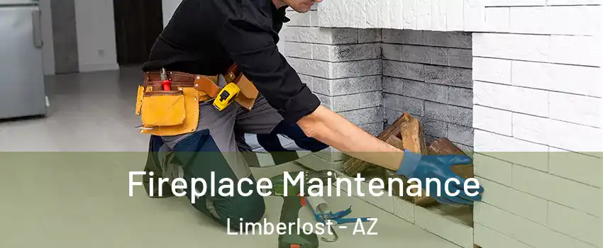 Fireplace Maintenance Limberlost - AZ