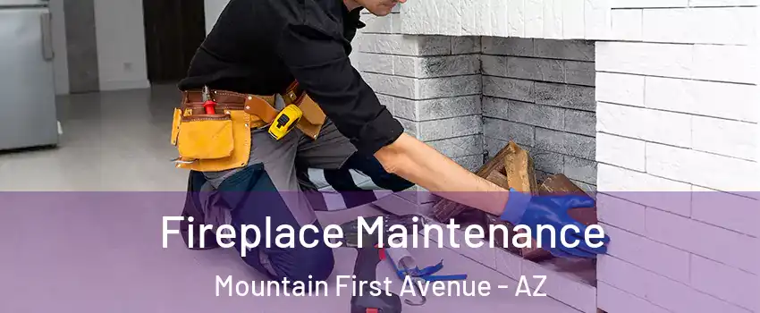 Fireplace Maintenance Mountain First Avenue - AZ