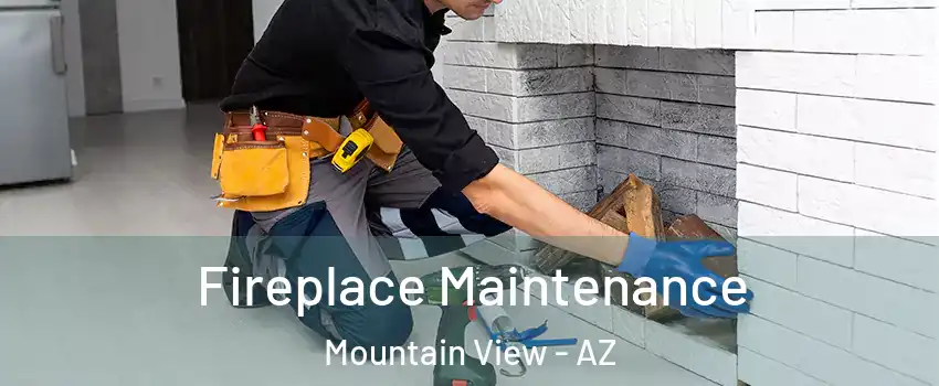 Fireplace Maintenance Mountain View - AZ