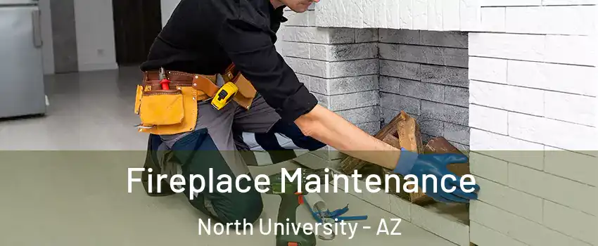 Fireplace Maintenance North University - AZ