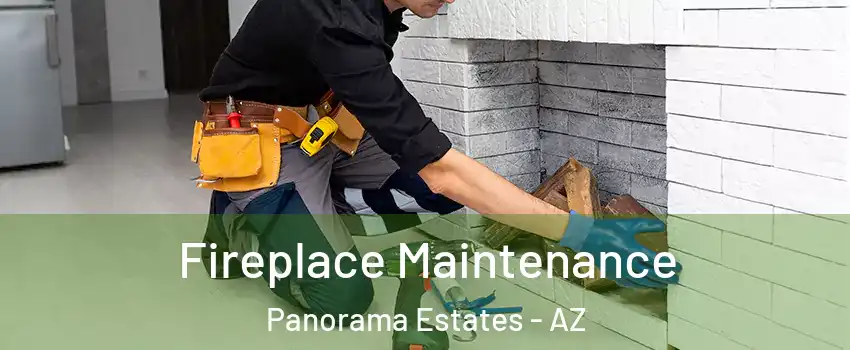 Fireplace Maintenance Panorama Estates - AZ