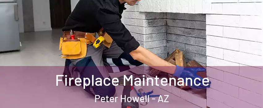 Fireplace Maintenance Peter Howell - AZ