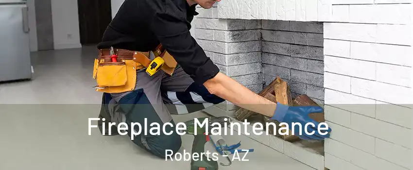 Fireplace Maintenance Roberts - AZ