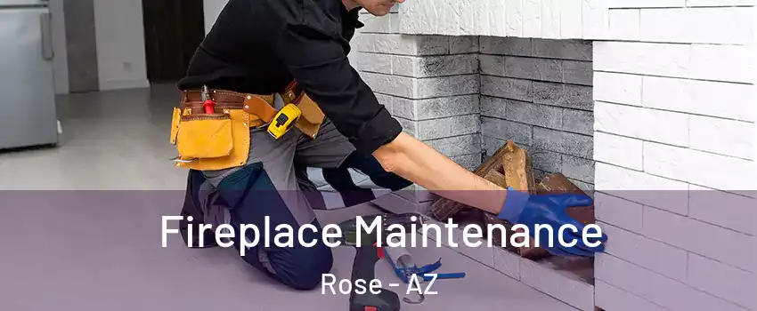 Fireplace Maintenance Rose - AZ