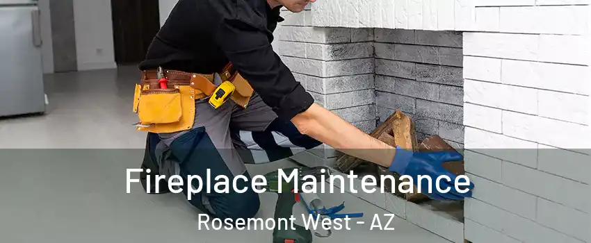 Fireplace Maintenance Rosemont West - AZ