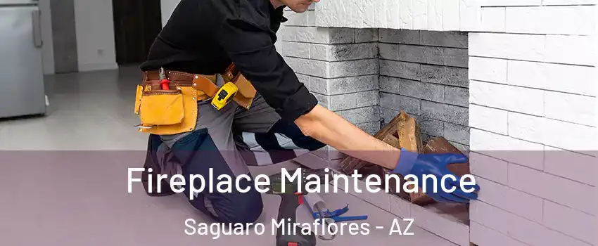 Fireplace Maintenance Saguaro Miraflores - AZ