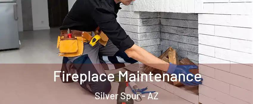 Fireplace Maintenance Silver Spur - AZ