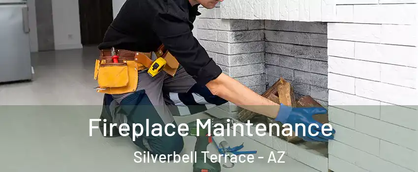 Fireplace Maintenance Silverbell Terrace - AZ