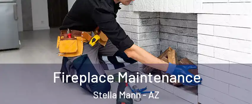 Fireplace Maintenance Stella Mann - AZ