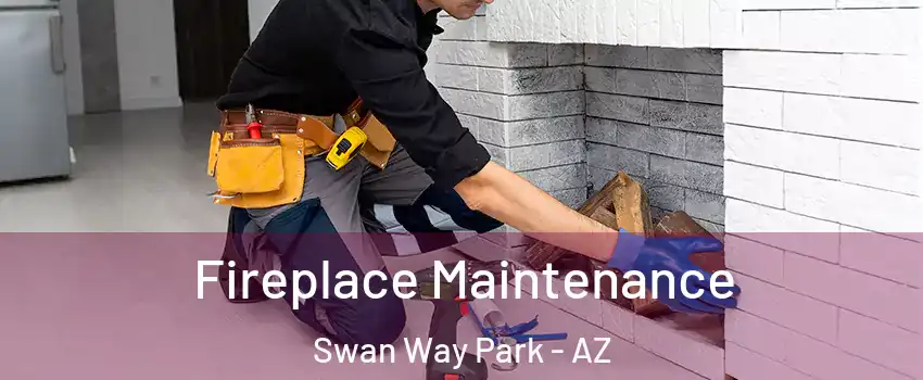 Fireplace Maintenance Swan Way Park - AZ