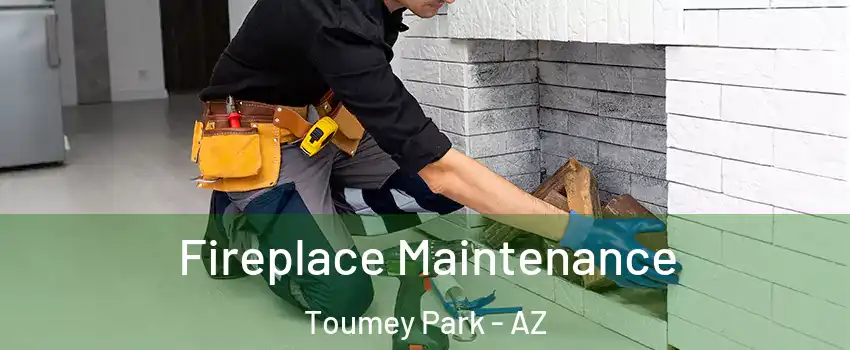 Fireplace Maintenance Toumey Park - AZ
