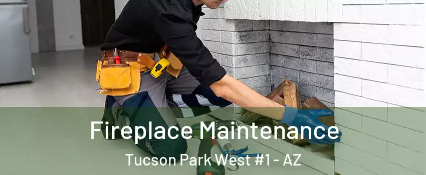Fireplace Maintenance Tucson Park West #1 - AZ