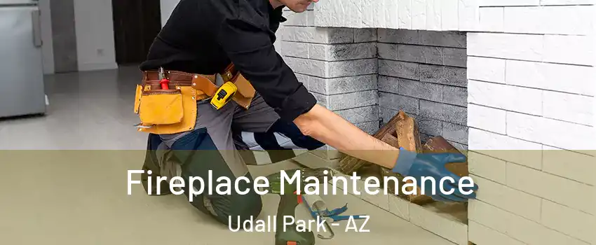Fireplace Maintenance Udall Park - AZ
