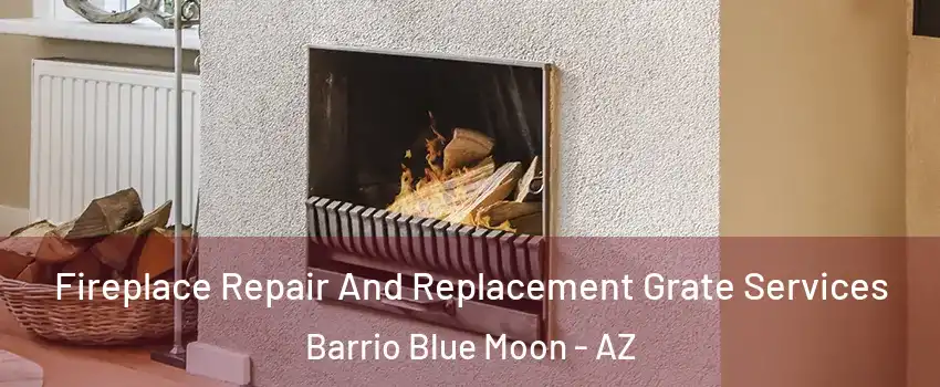 Fireplace Repair And Replacement Grate Services Barrio Blue Moon - AZ