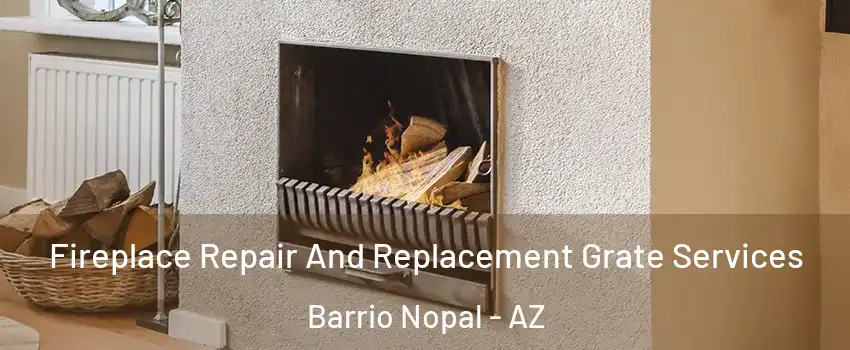 Fireplace Repair And Replacement Grate Services Barrio Nopal - AZ