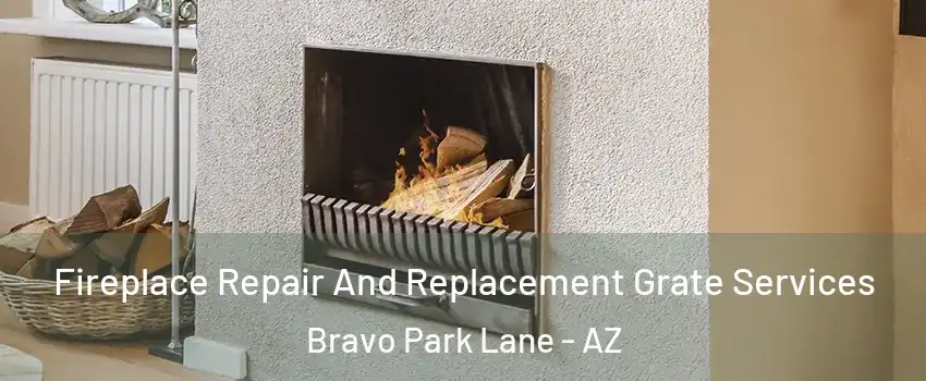 Fireplace Repair And Replacement Grate Services Bravo Park Lane - AZ