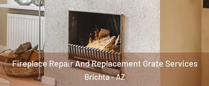 Fireplace Repair And Replacement Grate Services Brichta - AZ