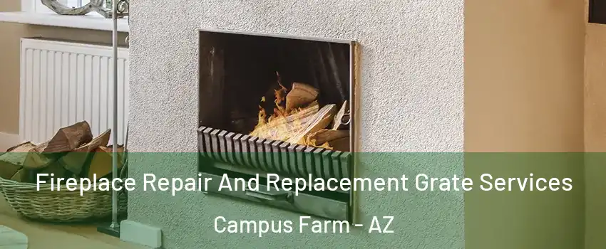 Fireplace Repair And Replacement Grate Services Campus Farm - AZ