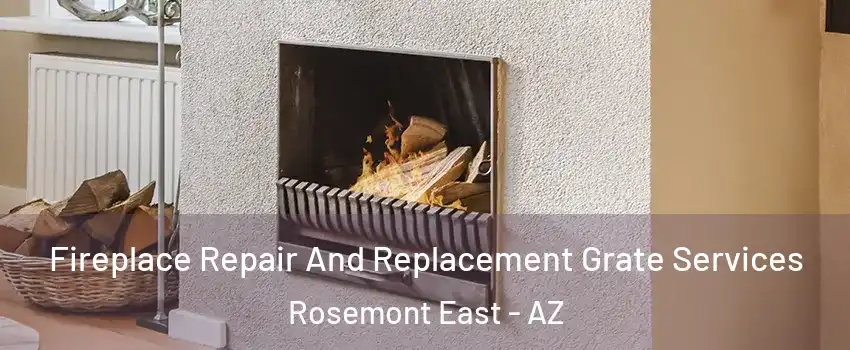 Fireplace Repair And Replacement Grate Services Rosemont East - AZ