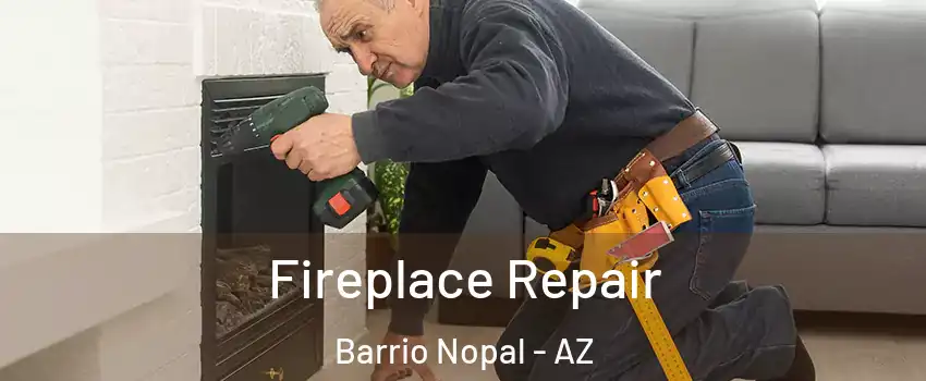 Fireplace Repair Barrio Nopal - AZ