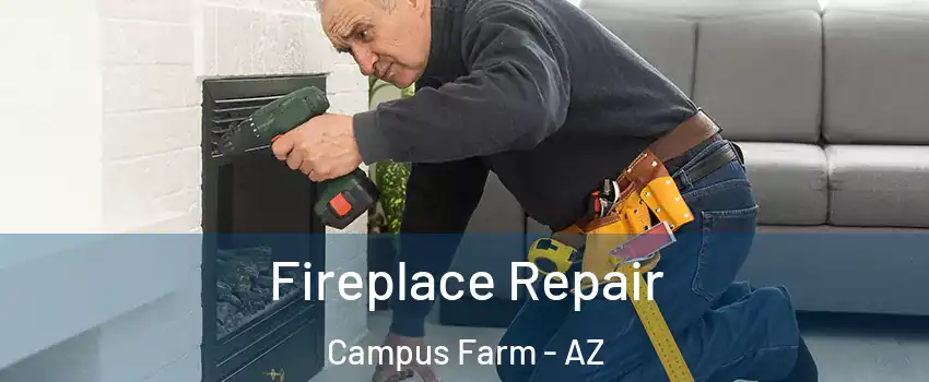 Fireplace Repair Campus Farm - AZ