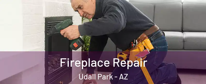 Fireplace Repair Udall Park - AZ