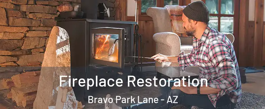Fireplace Restoration Bravo Park Lane - AZ