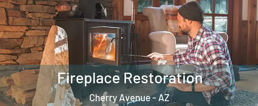 Fireplace Restoration Cherry Avenue - AZ