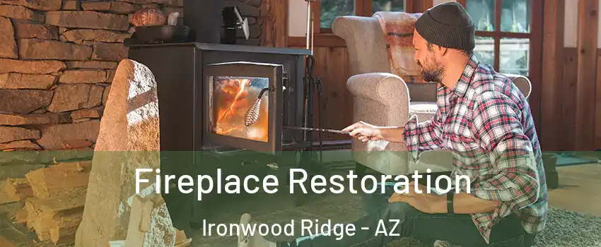 Fireplace Restoration Ironwood Ridge - AZ
